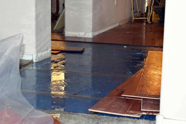 Professional Burst Pipe Cleanup technician working in Caddo, TX